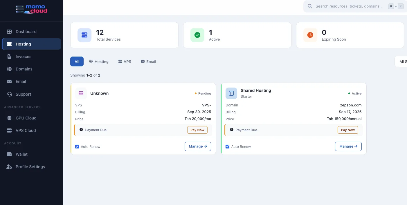 Momo Cloud Hosting area with service list and actions