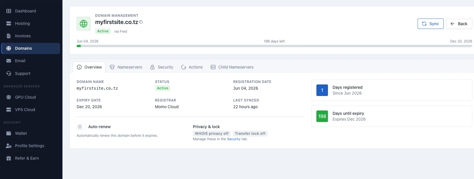 Domain overview dashboard showing status and renewal settings
