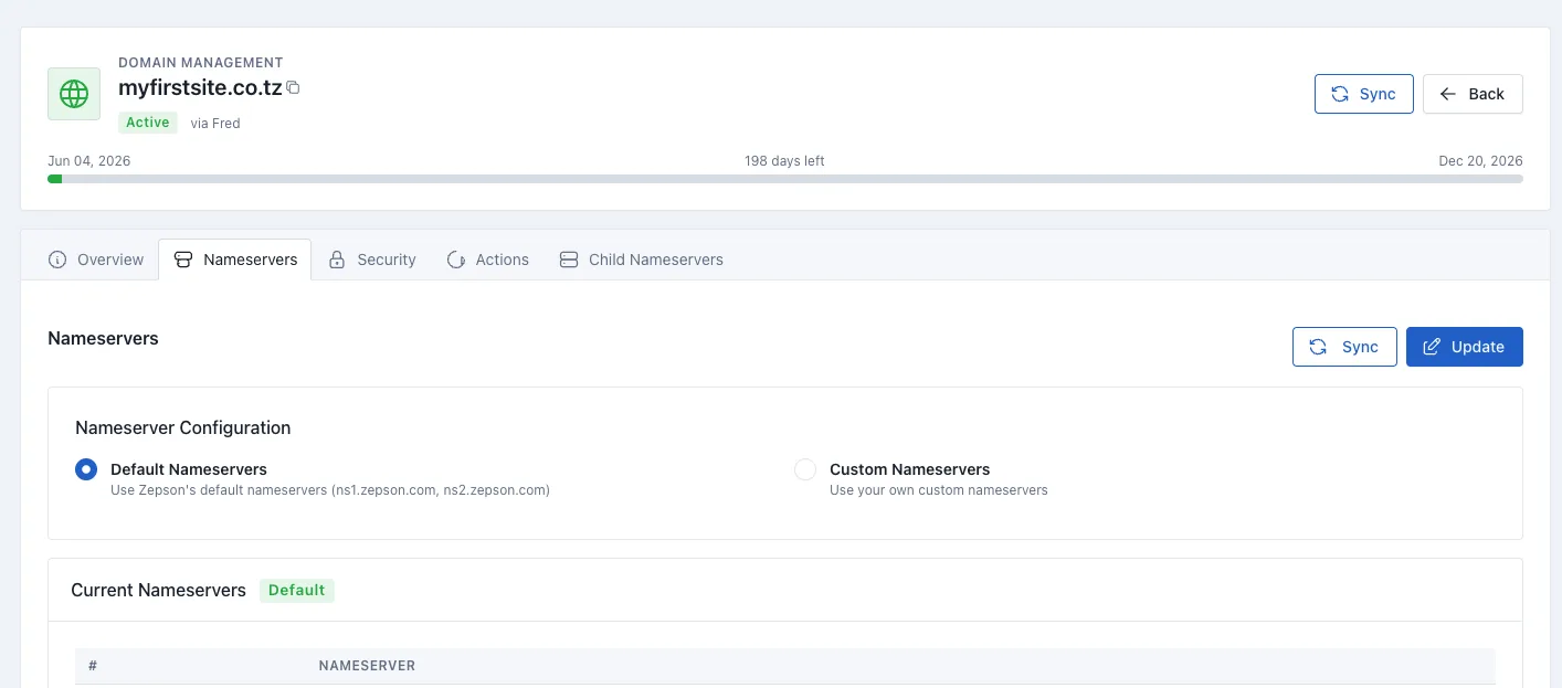 Nameserver configuration page for a domain