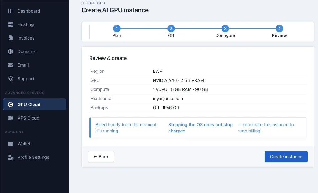 Review and create screen for a Momo Cloud GPU instance.